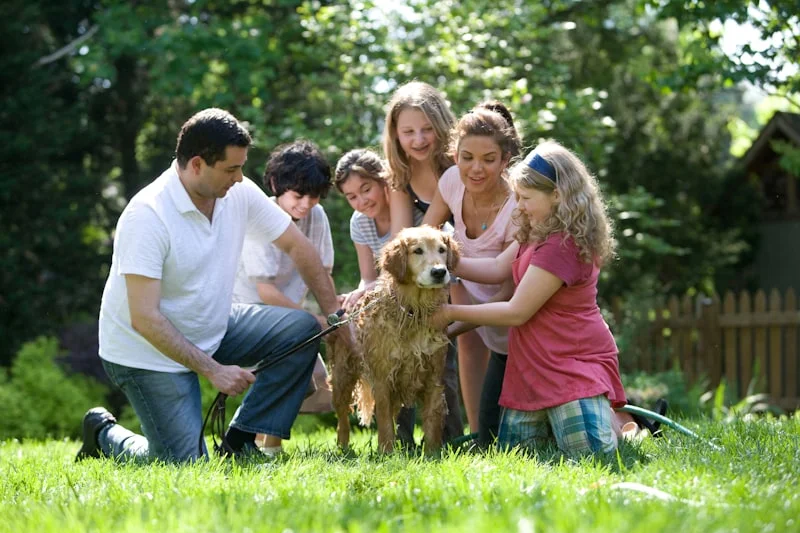 Herbal Pest Control (Eco-Safe) — TrustXcare Expert Solution Herbal Pest Control (Eco-Safe)
